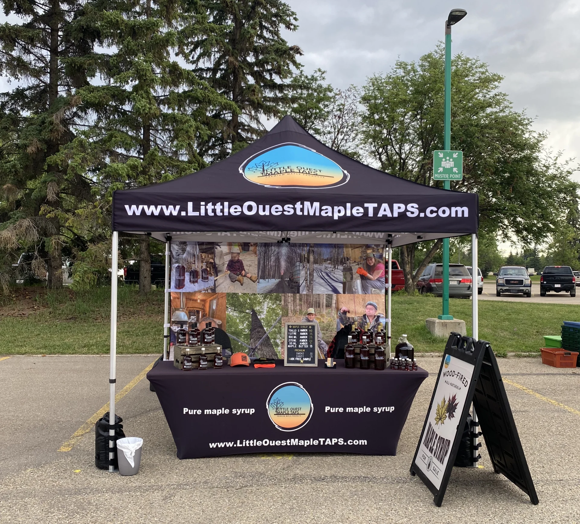 Little Ouest Maple Taps